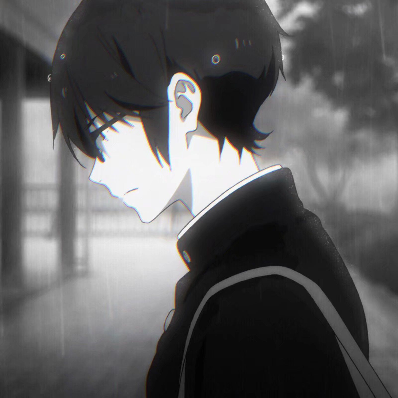 雨中一条柴个人引导页